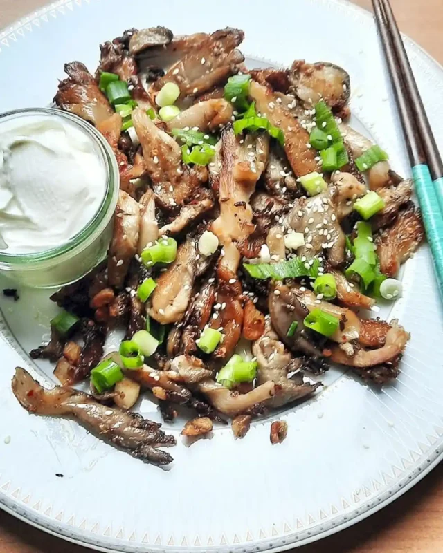 İstiridye Mantarı