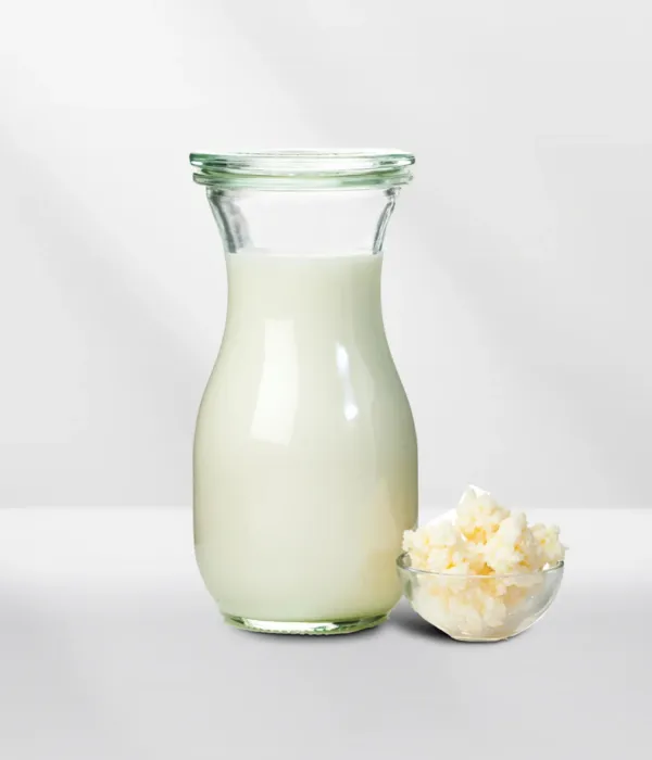 Kefir